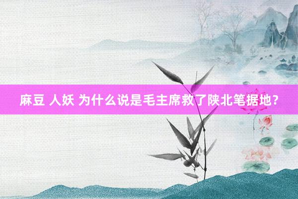 麻豆 人妖 为什么说是毛主席救了陕北笔据地？