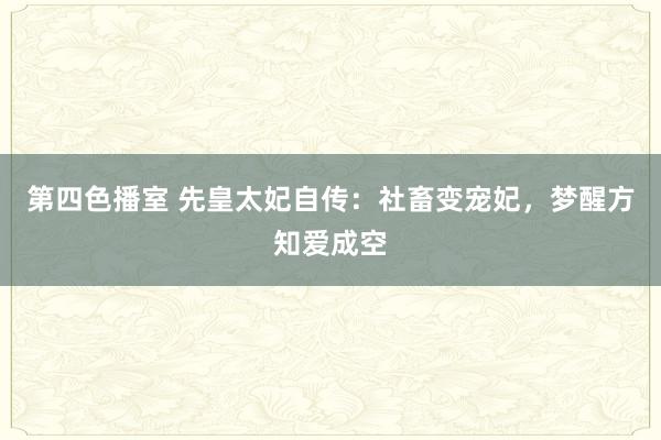 第四色播室 先皇太妃自传：社畜变宠妃，梦醒方知爱成空