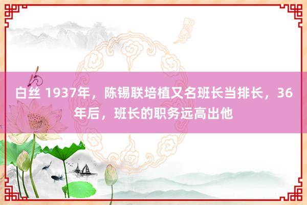 白丝 1937年，陈锡联培植又名班长当排长，36年后，班长的职务远高出他
