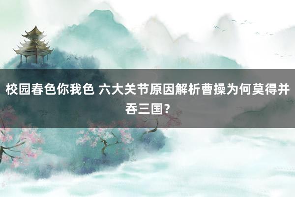 校园春色你我色 六大关节原因解析曹操为何莫得并吞三国？