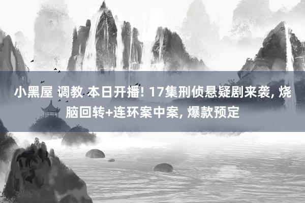 小黑屋 调教 本日开播! 17集刑侦悬疑剧来袭, 烧脑回转+连环案中案, 爆款预定