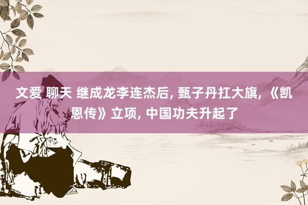 文爱 聊天 继成龙李连杰后, 甄子丹扛大旗, 《凯恩传》立项, 中国功夫升起了