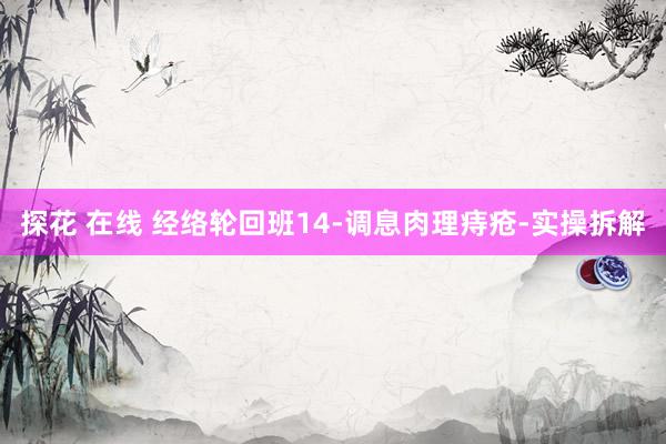 探花 在线 经络轮回班14-调息肉理痔疮-实操拆解