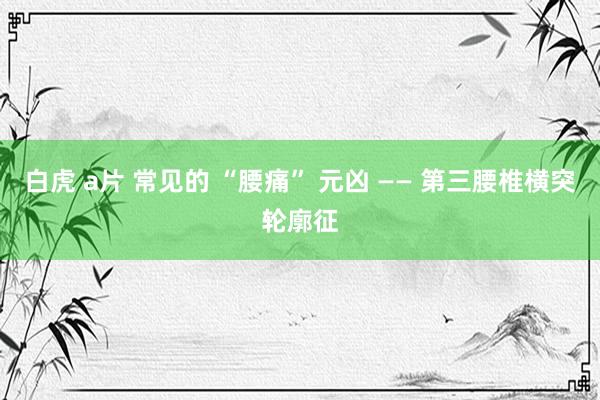 白虎 a片 常见的 “腰痛” 元凶 —— 第三腰椎横突轮廓征